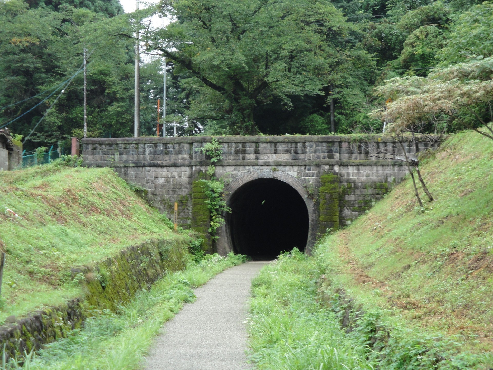 tunnel under forested hill
