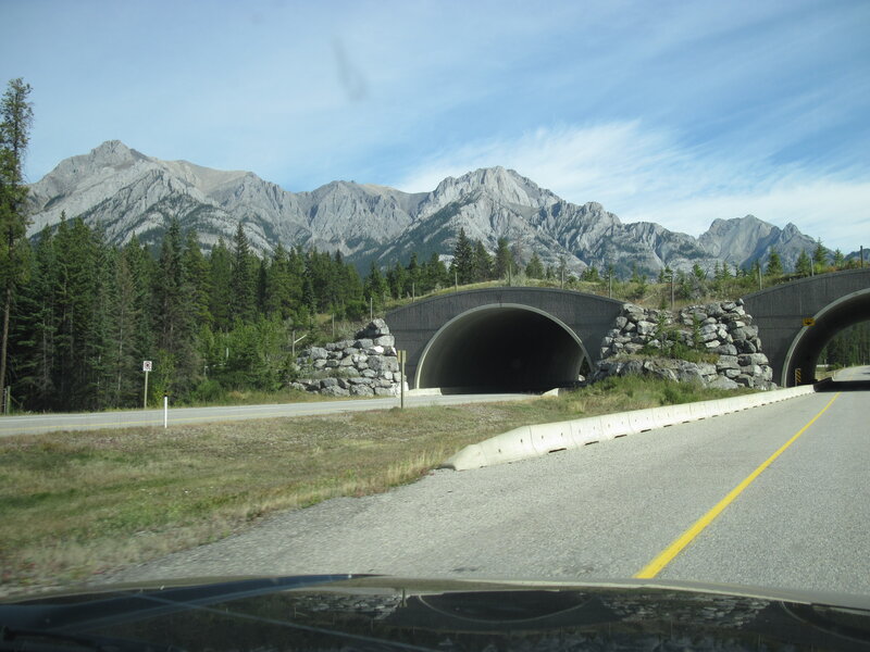 Tunnel Underpass in Mountains