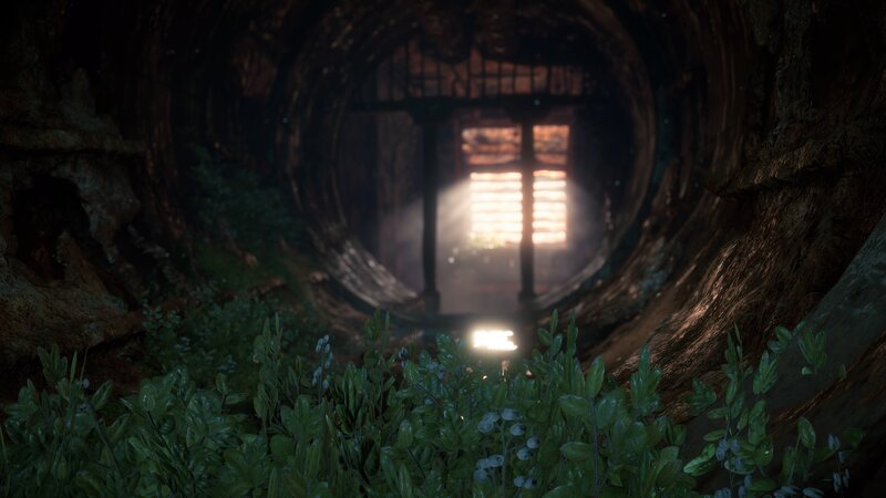 Tunnel with Plants