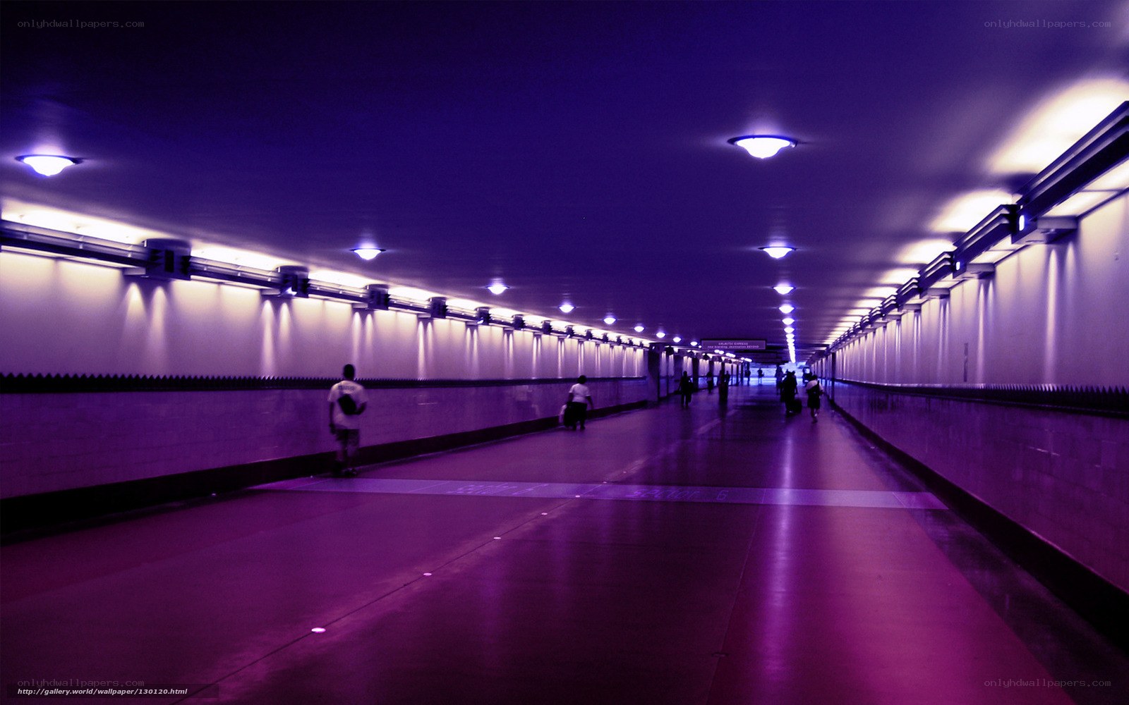tunnel with purple lighting
