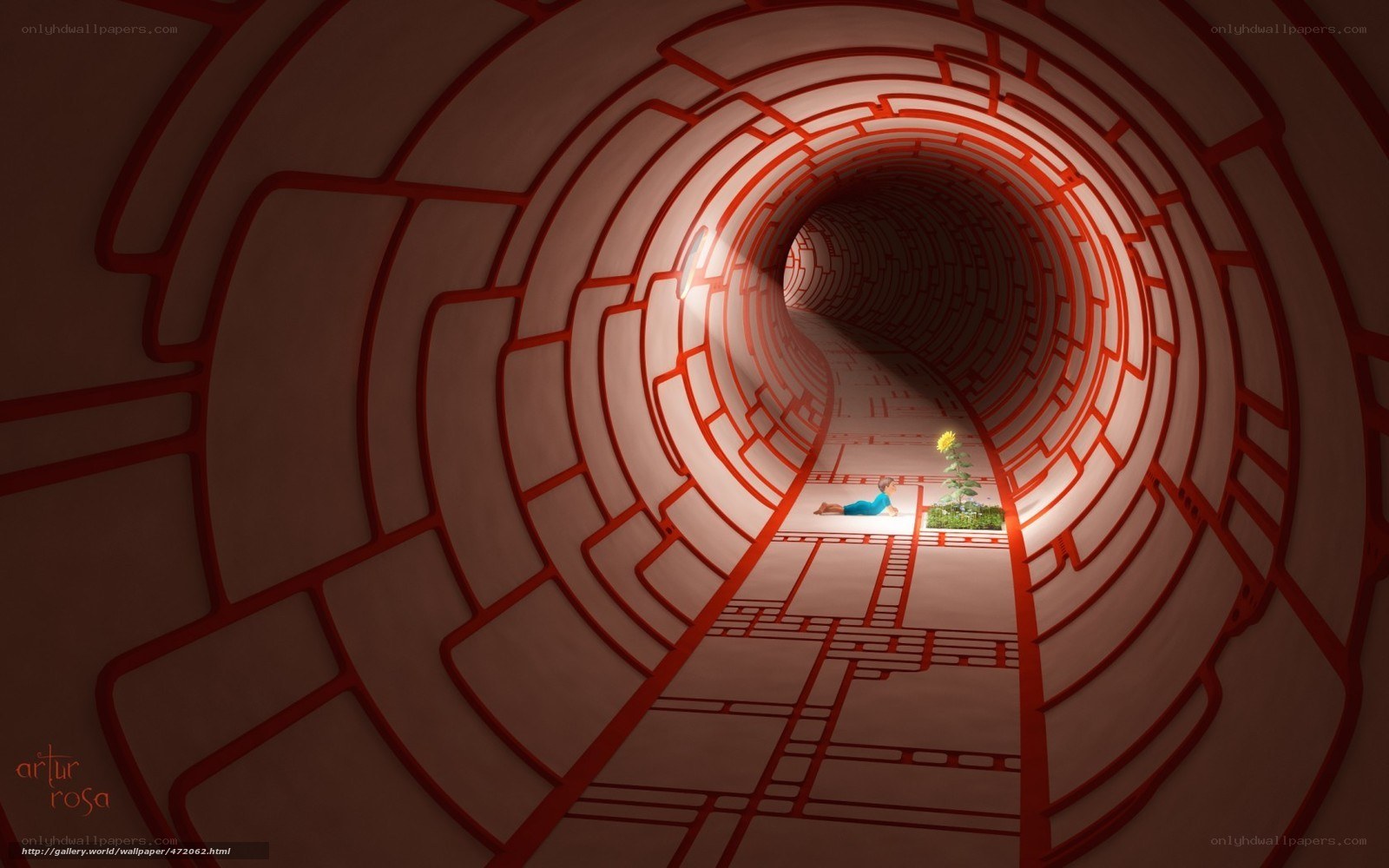 tunnel with sunflower