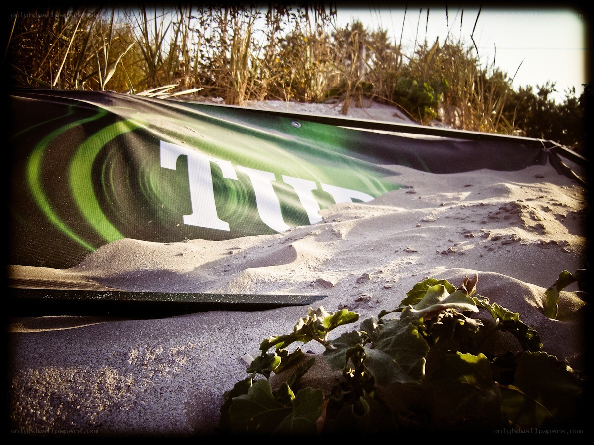 Turf banner on sandy dune