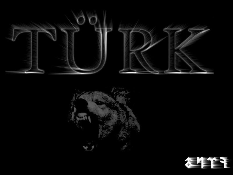 TURK logo with wolf