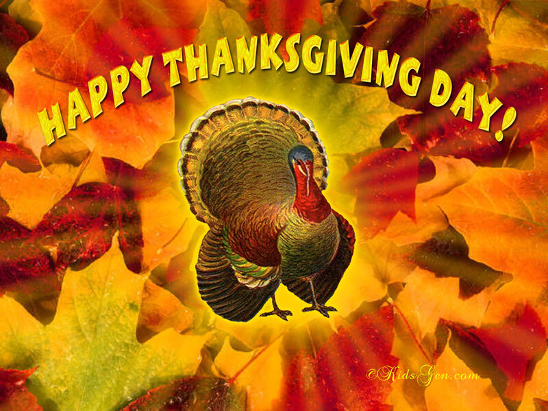 Turkey Among Autumn Leaves
