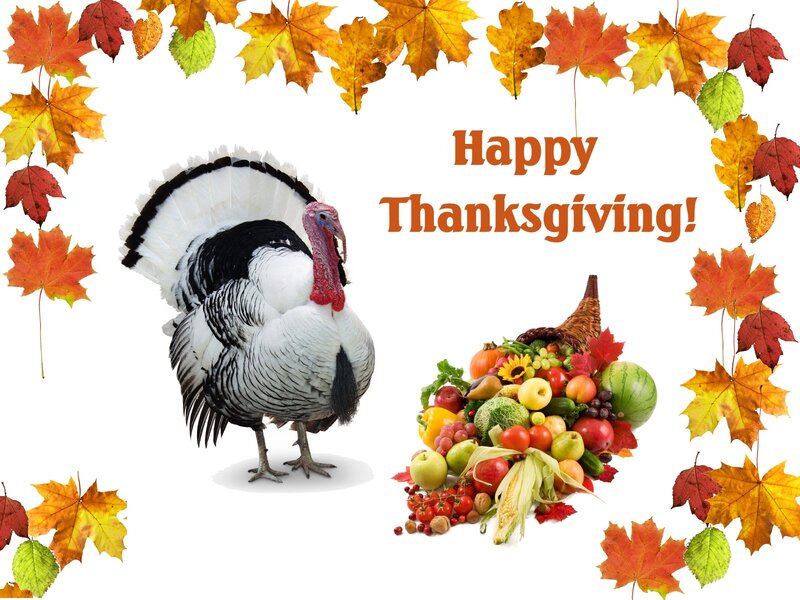 Turkey and Cornucopia