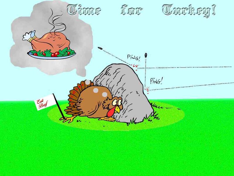 Turkey Hiding Behind Rock