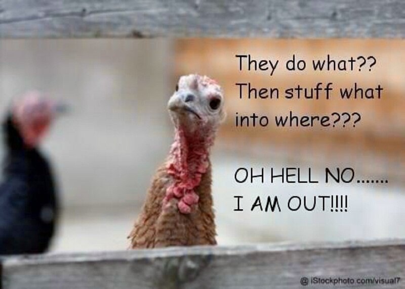 Turkey in Enclosure