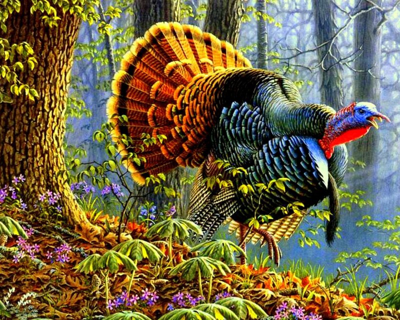 Turkey in Forest — Green