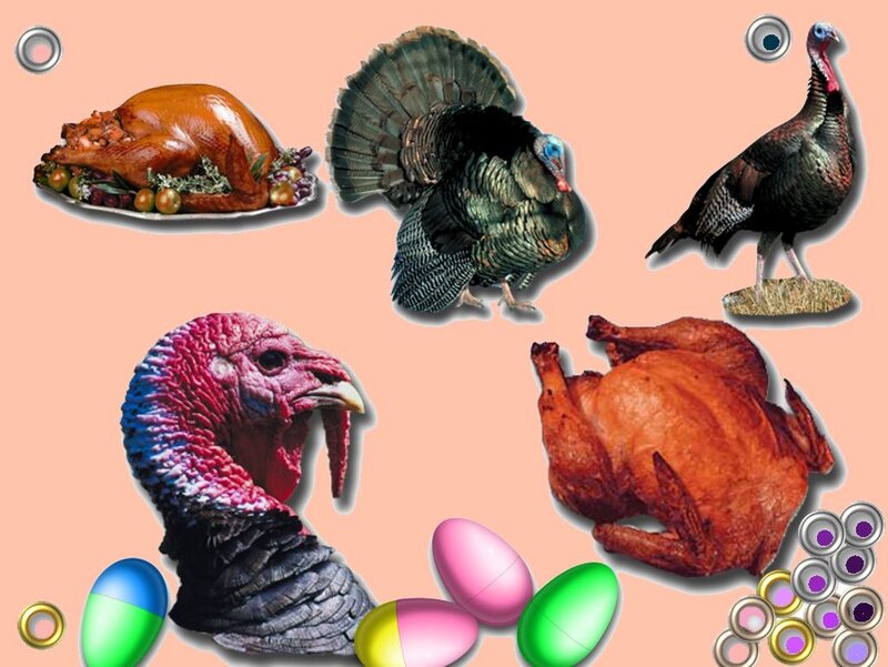 Turkey in Various Forms