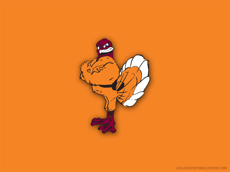 turkey mascot on orange