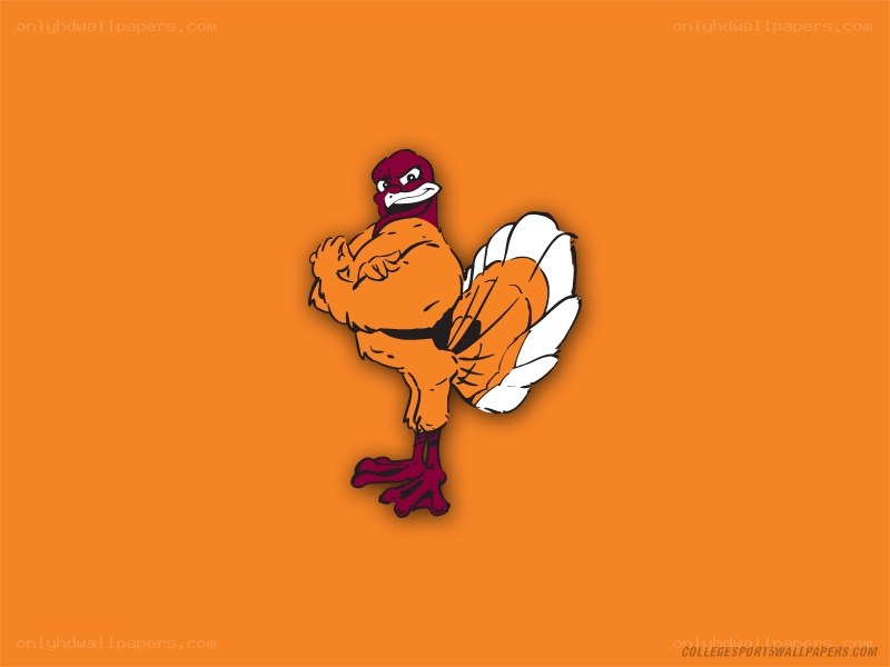 turkey mascot on orange
