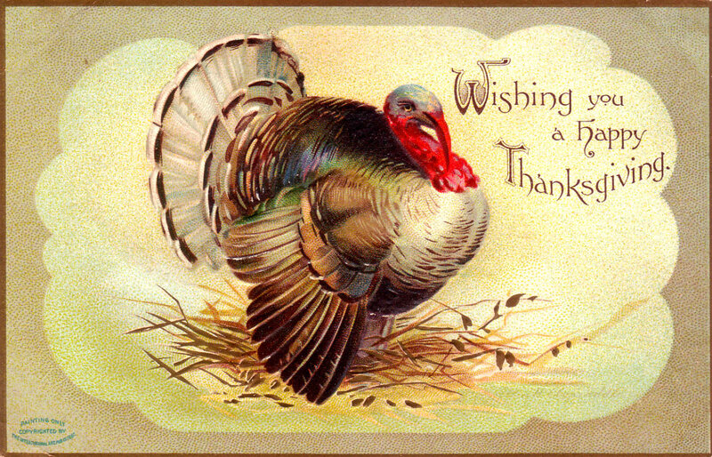 Turkey on Hay