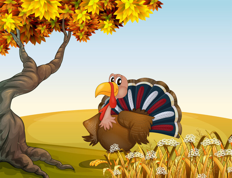 Turkey under Tree