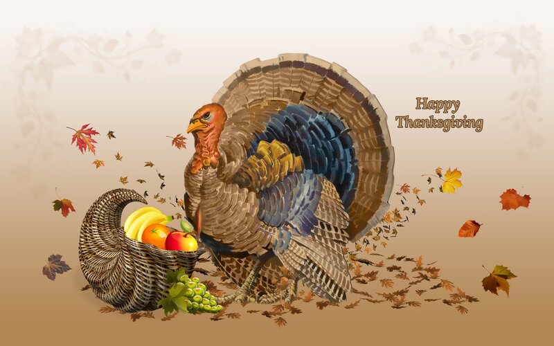 Turkey with Cornucopia — Brown