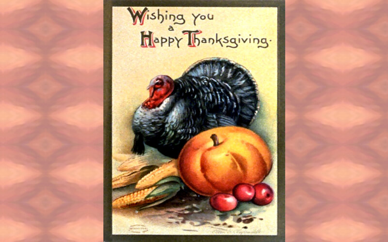 Turkey with Harvest Items