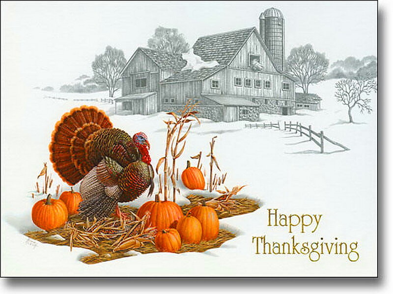 Turkey with Pumpkins — Orange, Festive