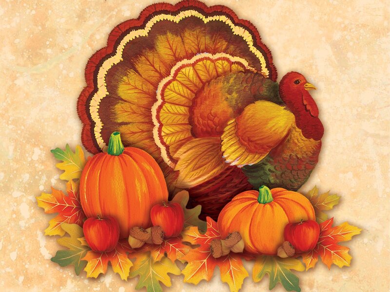 Turkey with Pumpkins