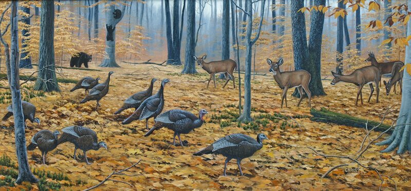 Turkeys and Deer in Forest