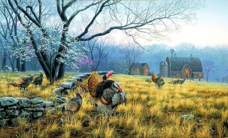 Turkeys in a Field — Yellow