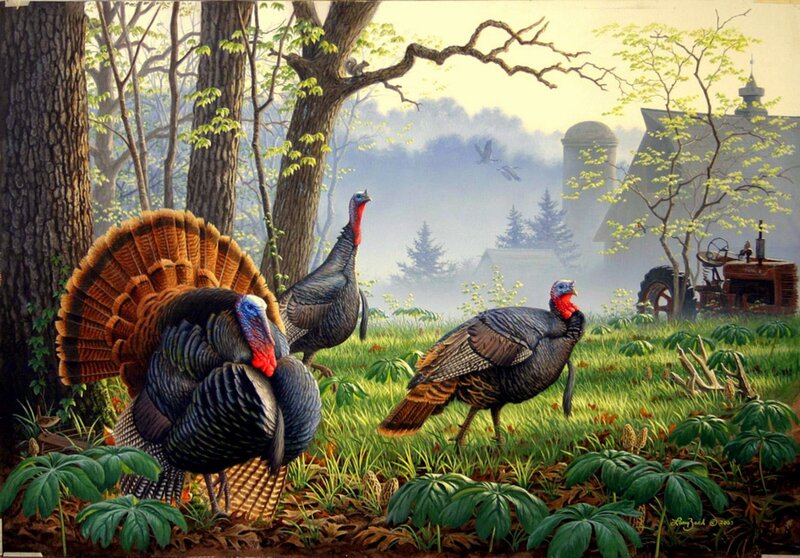 Turkeys in a Forest