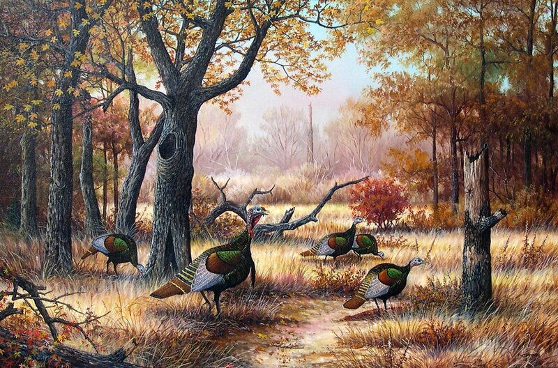 Turkeys in Forest — Brown