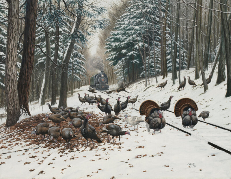 Turkeys in Snowy Forest