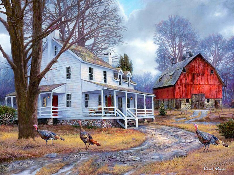 Turkeys on a Farm