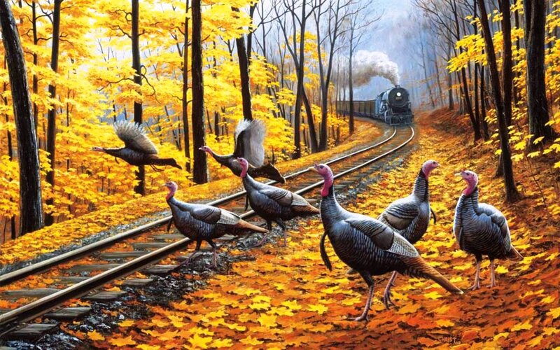 Turkeys on Train Tracks
