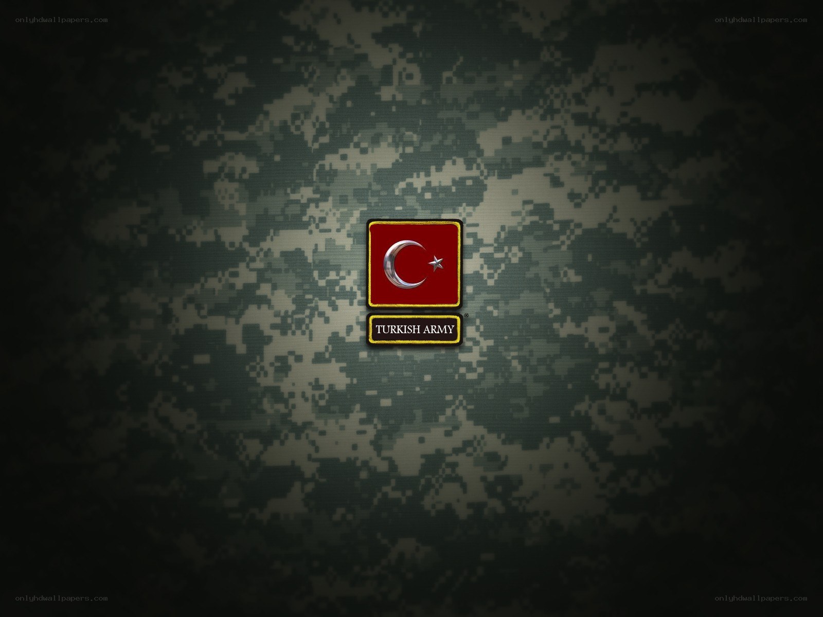 Turkish Army logo on camouflage
