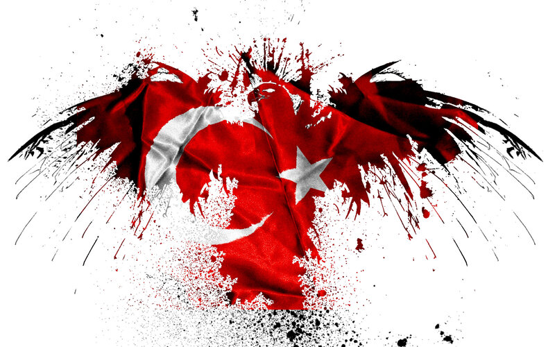 Turkish flag eagle splatter