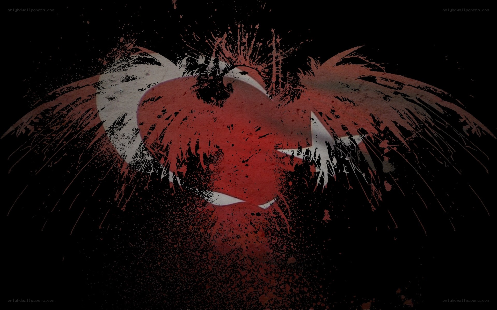 Turkish flag grunge art