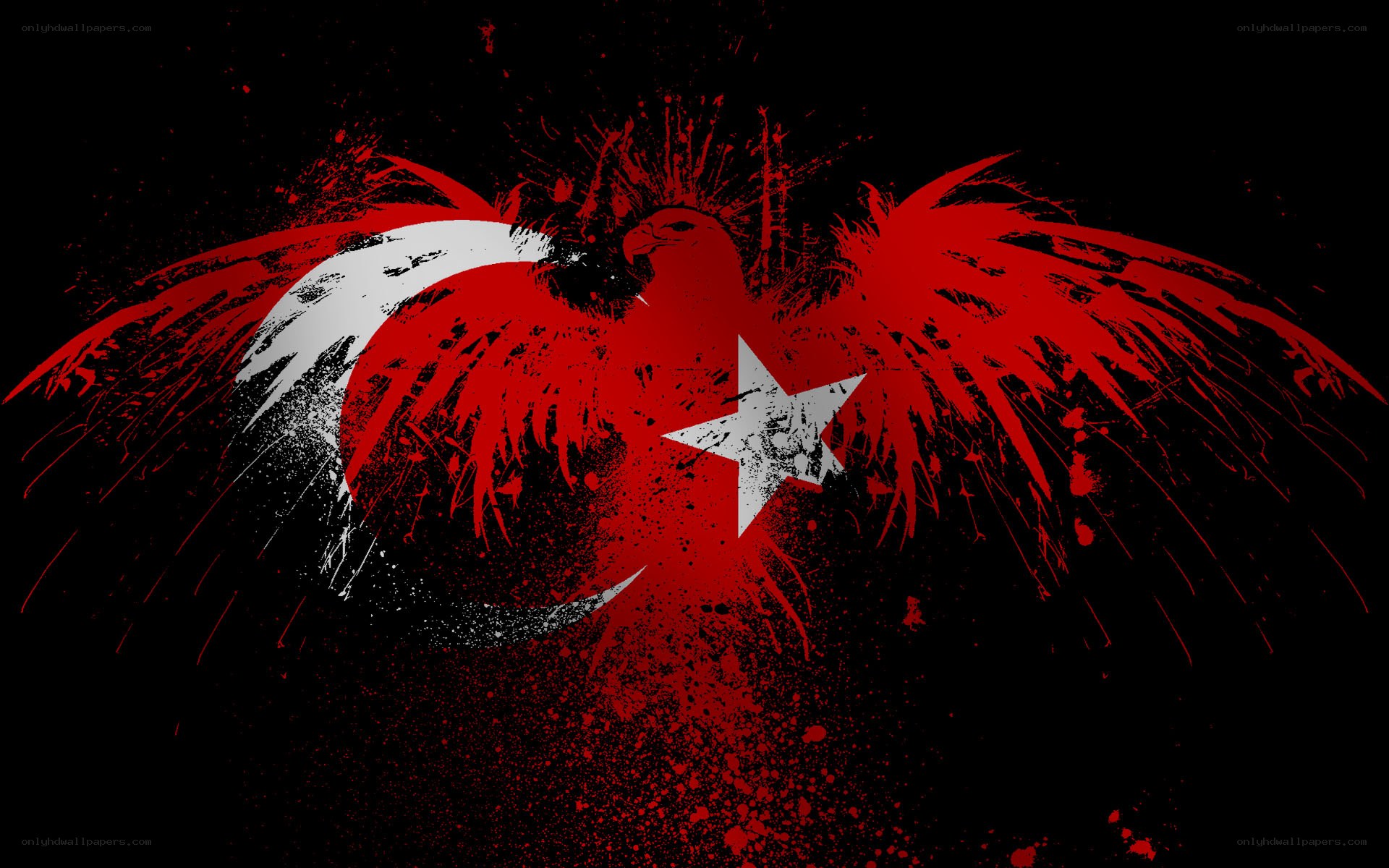 Turkish flag grunge eagle