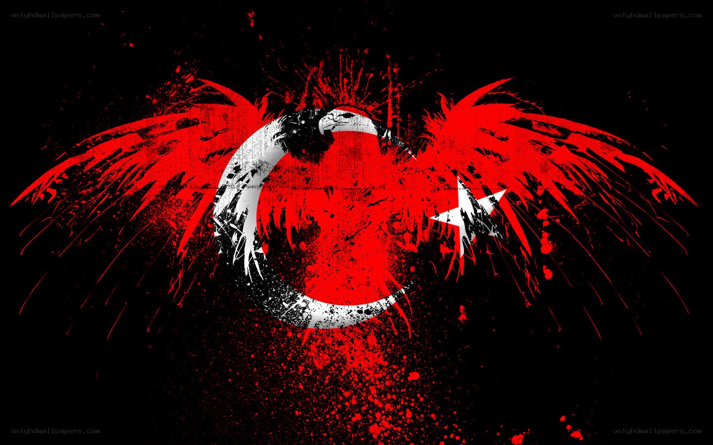 Turkish flag with eagle