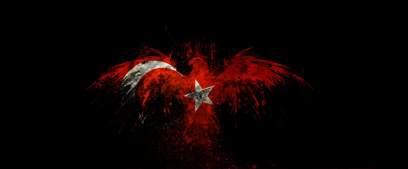 Turkish flag with eagle