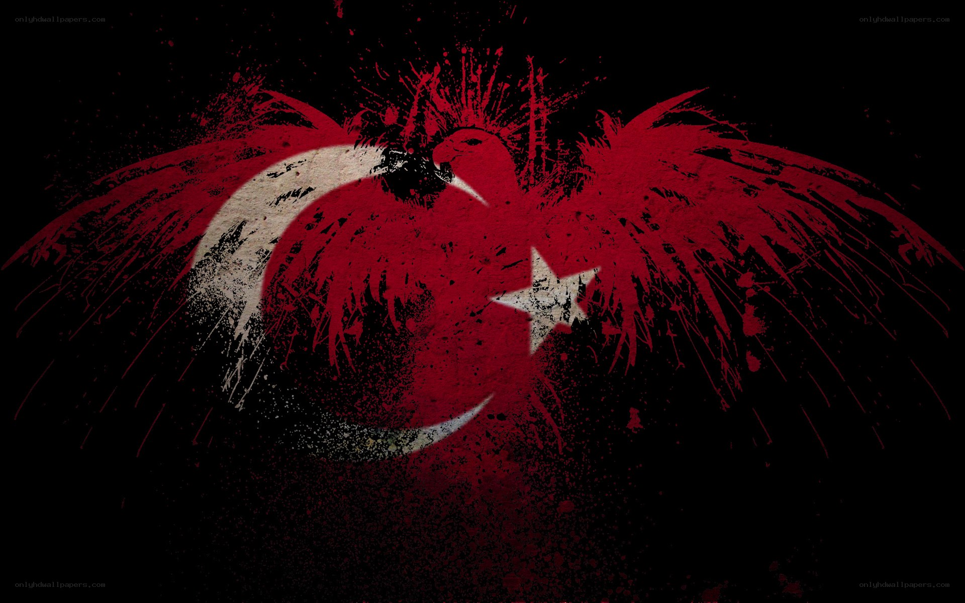 Turkish flag with eagle
