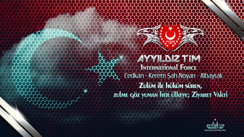 Turkish Flag with Logo