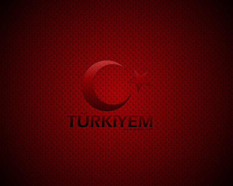 Turkish flag with text
