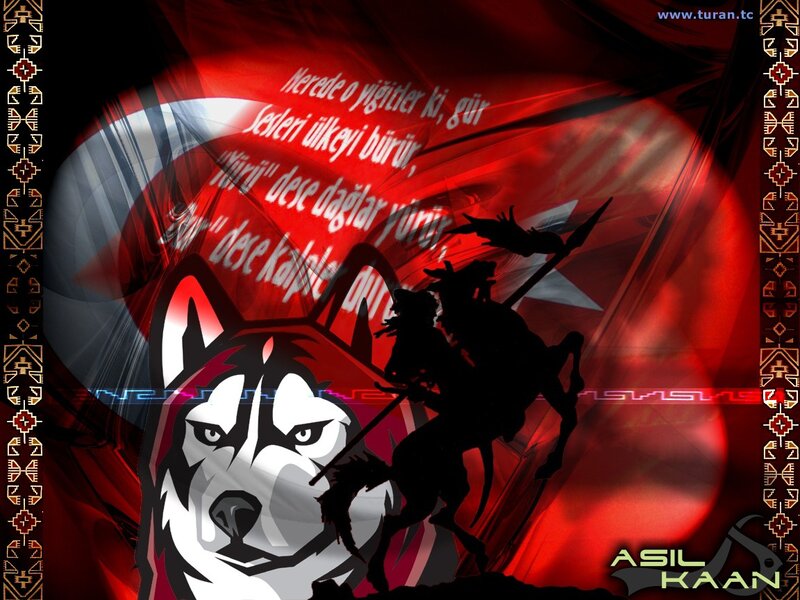 Turkish Wolf and Warrior Art
