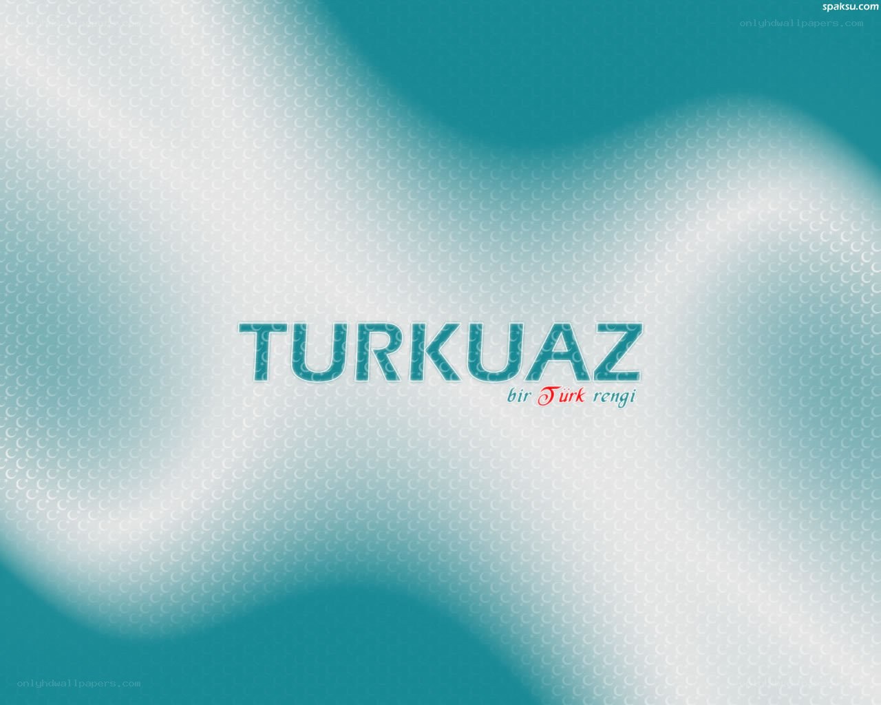 Turkuaz logo with slogan