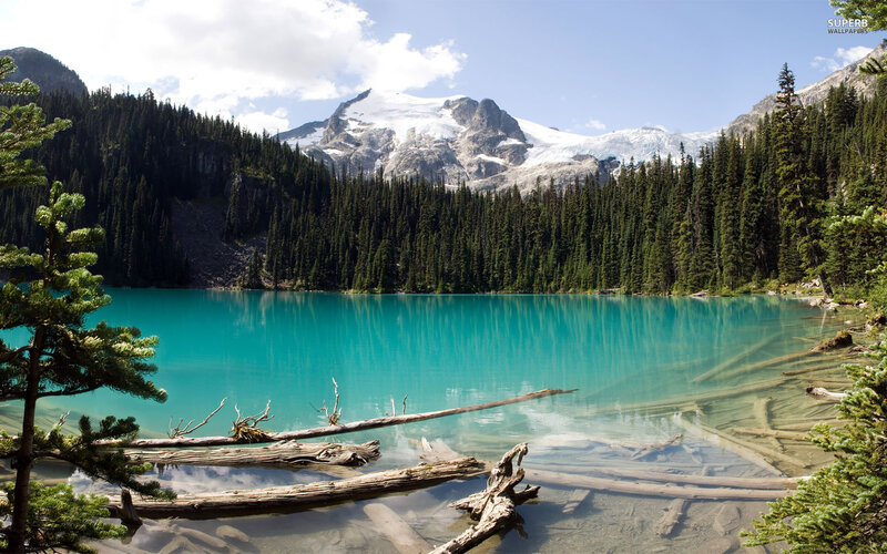 Turquoise Alpine Lake — Blue, Serene, Afternoon, Photograph, Mountain, Forest