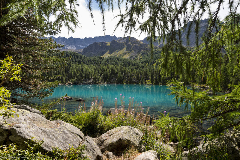 Turquoise Alpine Lake — Blue, Serene, Afternoon, Photograph, Mountains, Forest, Rocks, Flowers