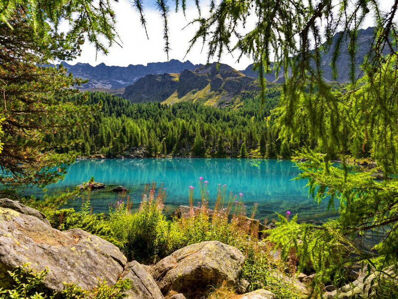 Turquoise Alpine Lake — Blue, Serene, Afternoon, Photograph, Mountains, Forest, Rocks