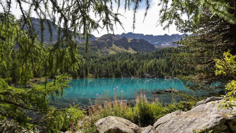 Turquoise Alpine Lake — Blue, Serene, Afternoon, Photograph, Mountains, Forest, Trees