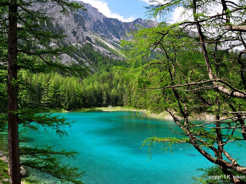 Turquoise Alpine Lake — Blue, Serene, Afternoon, Photograph, Mountains, Trees