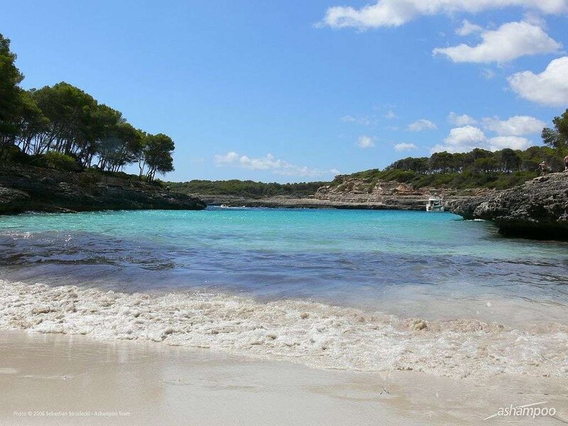Turquoise Cove with Waves