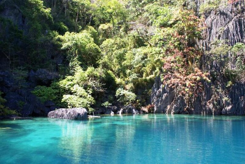 Turquoise Lagoon in Forest