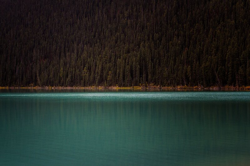 Turquoise Lake and Forest