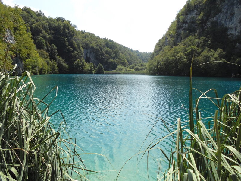 Turquoise Lake in Canyon — Blue, Serene, Afternoon, Photograph, Trees