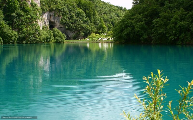 Turquoise lake in forest