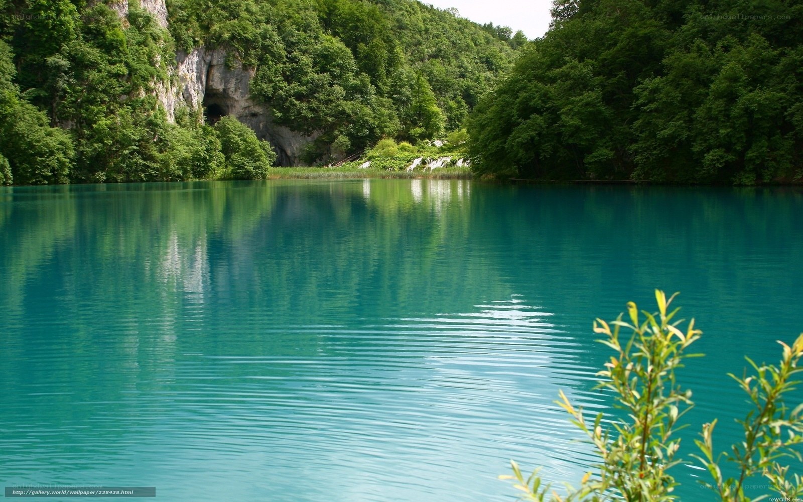Turquoise lake in forest
